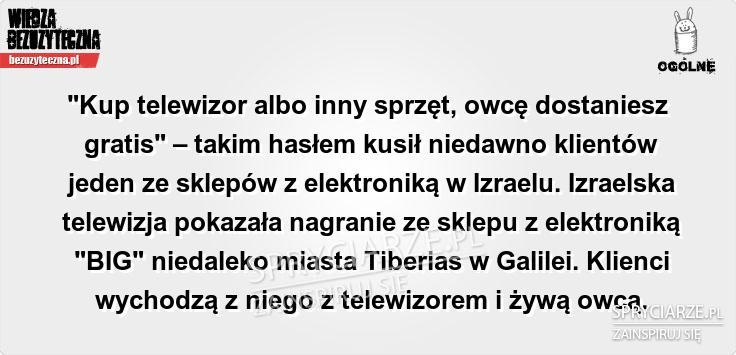 Pomysł na nietypową promocję