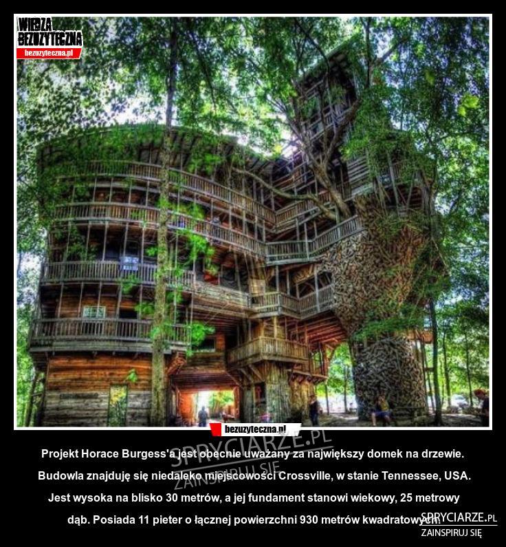Budowa domku na drzewie w wersji USA
