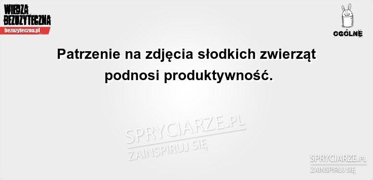 Sposób na produktywność w pracy