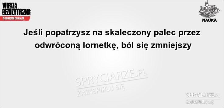 Lornetka i jej niestandardowe wykorzystanie