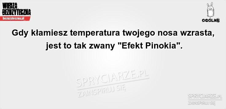 Ciepły nos kłamcy