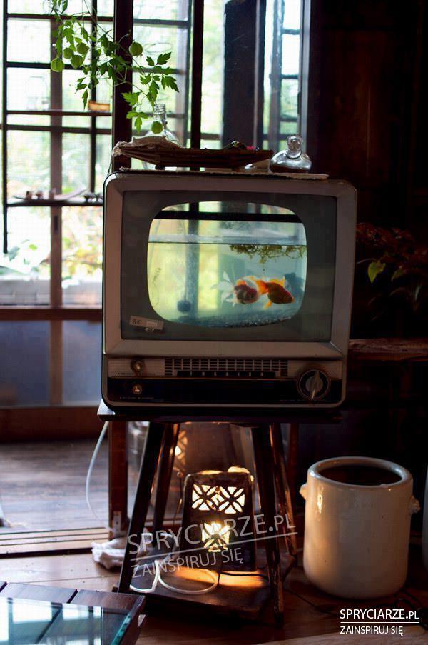 Akwarium w starym TV