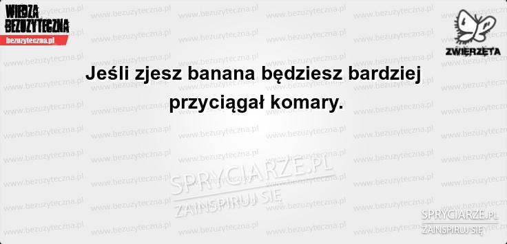 Komary są przyciąganie przez ...
