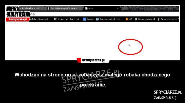 Mały robak w internecie
