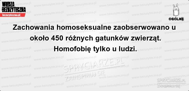 Homofobia - typowo ludzka