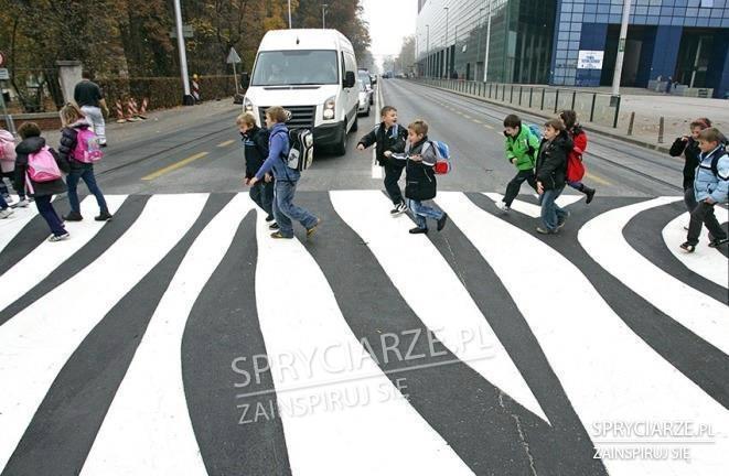 Prawdziwa zebra na pasach