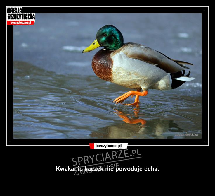 Największa zagadka naukowców