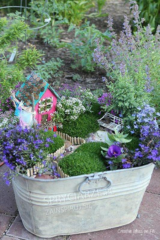 Mini ogródek ... w ogródku