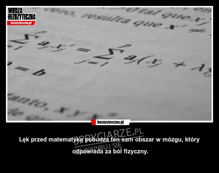 Lęk przed matematyką a ból fizyczny