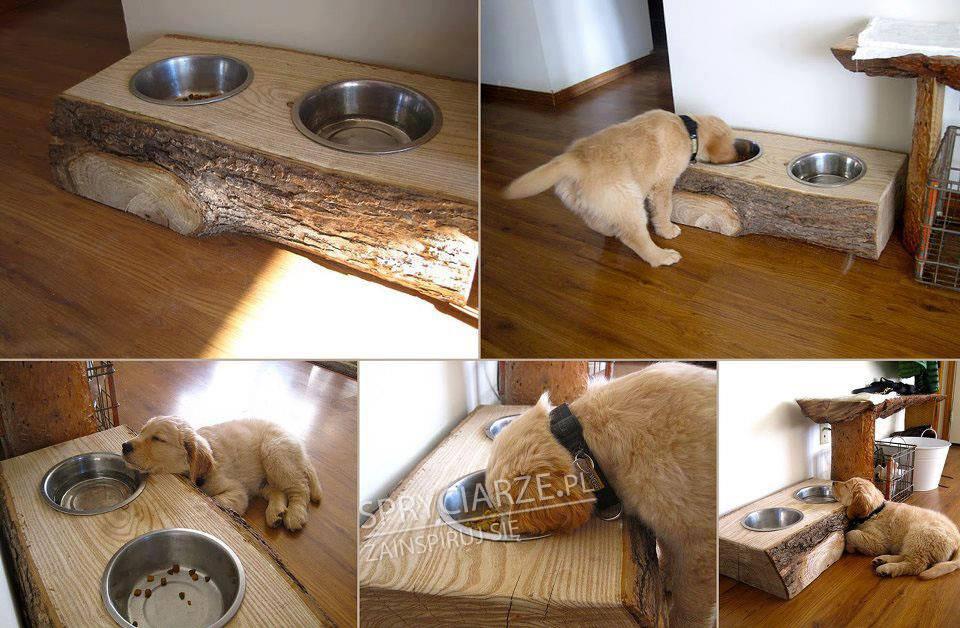 Stolik z miskami dla psa w czystym drewnie