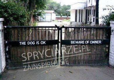 Pies jest w porządku. Uważaj na właściciela