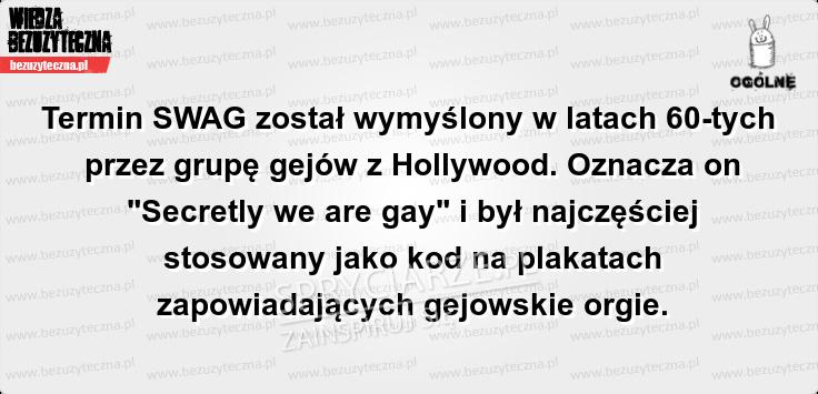 Co oznacza SWAG