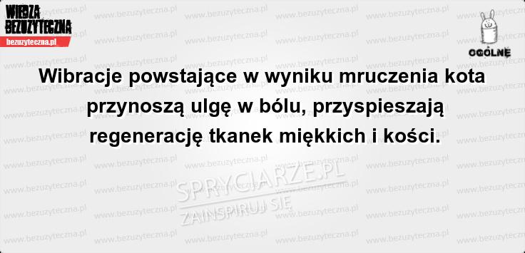 Wibrokot - czyli nowy środek na ból głowy