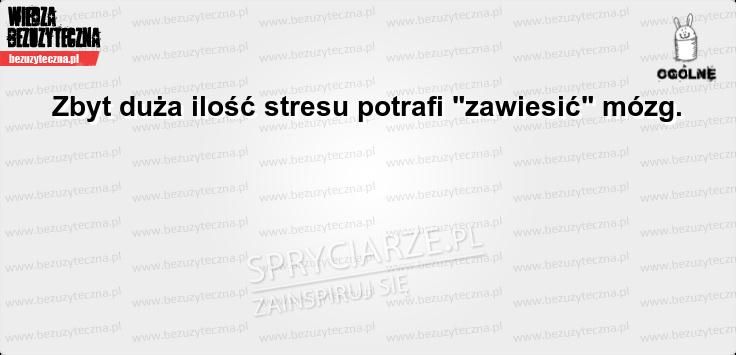 Stres wstrzymuje myślenie