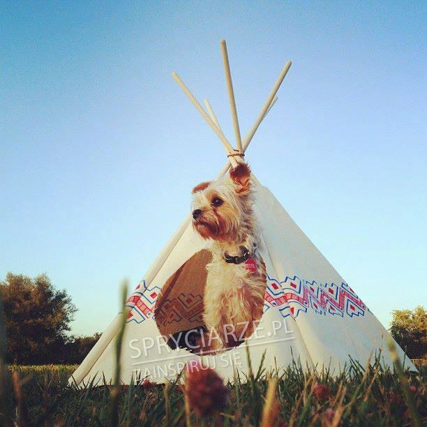 Indiańska buda dla psa