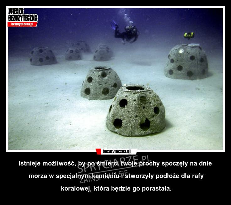 Niesamowity pomysł na nagrobek