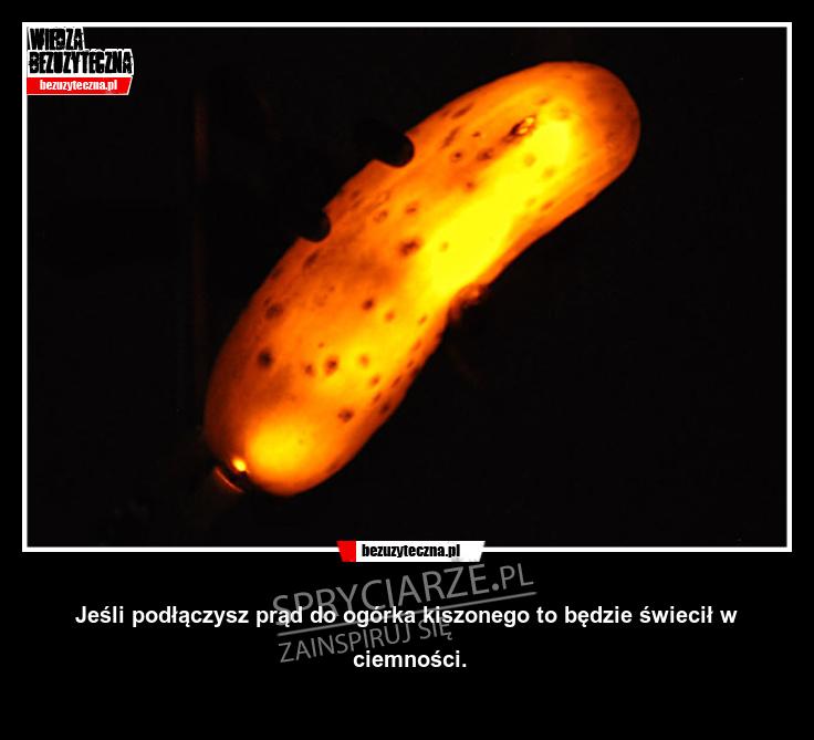 Pomysł na świecącego ogórka