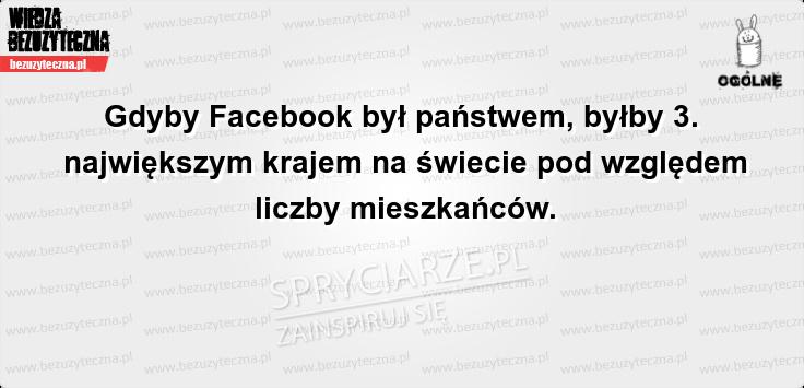 Gdyby facebook byl panstwem