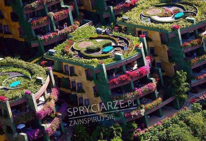 Niektórzy mieszkańcy blokowisk nie narzekają na brak zieleni