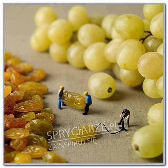 Bardzo pomysłowe zdjęcie