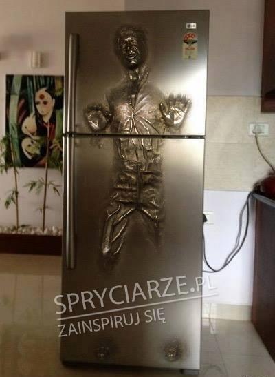 Lodówka z bajeranckim wzorem
