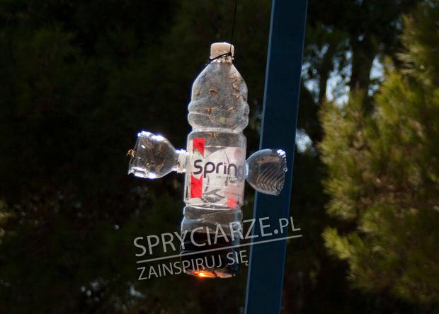 Pułapka na osy i inne latające stwory. Wystarczy do środka wlać colę