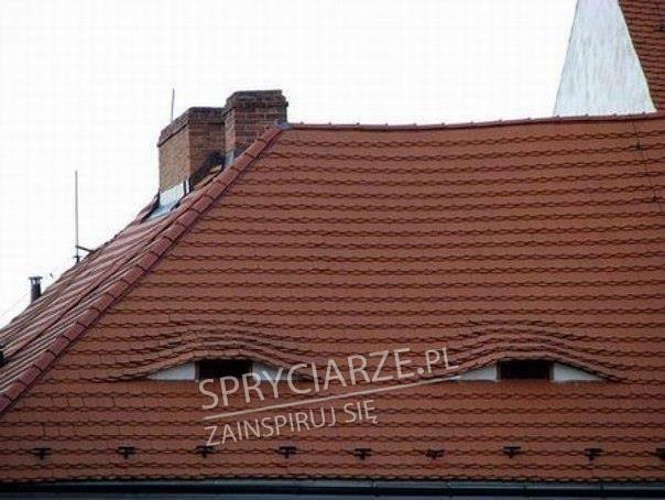 Widzę Cię ...