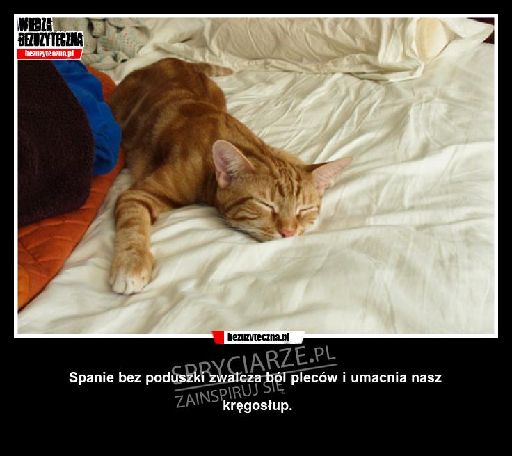Plusy spania bez poduszki