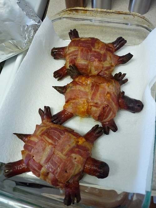 Mięsne żółwie