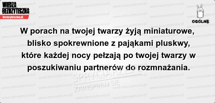 Teraz będę bał się zasnąć