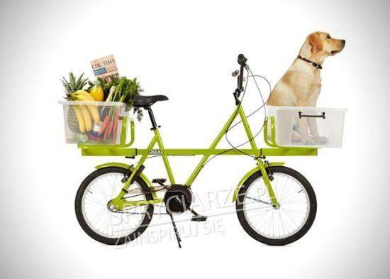 Rower z miejscem na zakupy i na psa