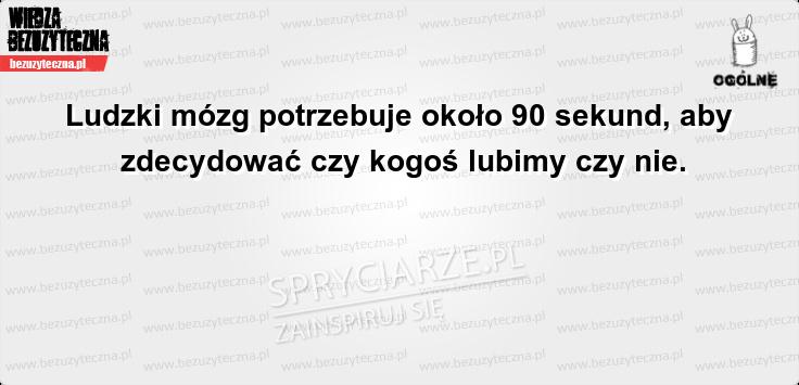 Tylko 90 sekund potrzebuje Twój mózg