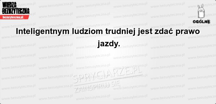 Prawo jazdy nie dla inteligentych