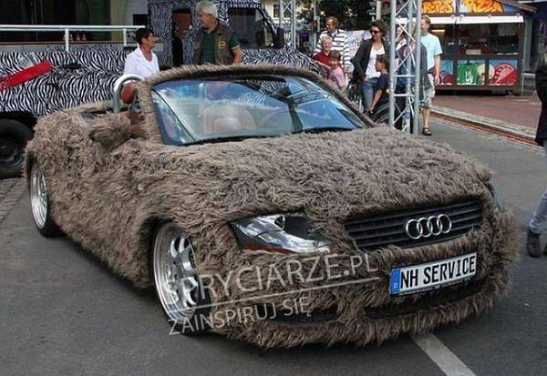 Włochate Audi. Aż miło usiąść na masce