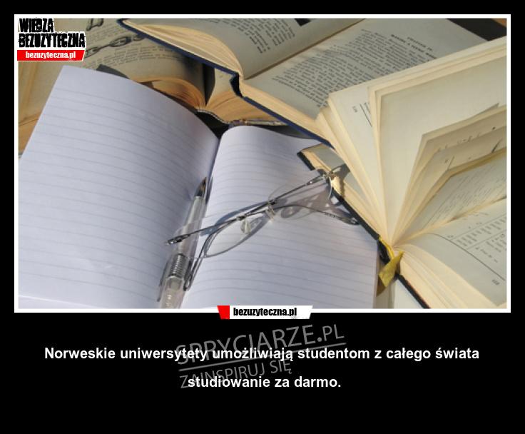 Sposób na studiowanie za darmo w obcym kraju