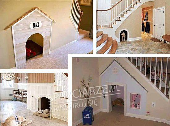 Jak znaleźć miejsce dla psa w domu