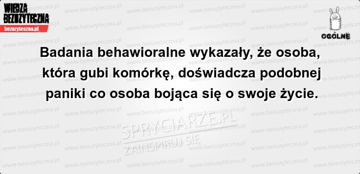 Co się dzieje kiedy gubisz komórkę