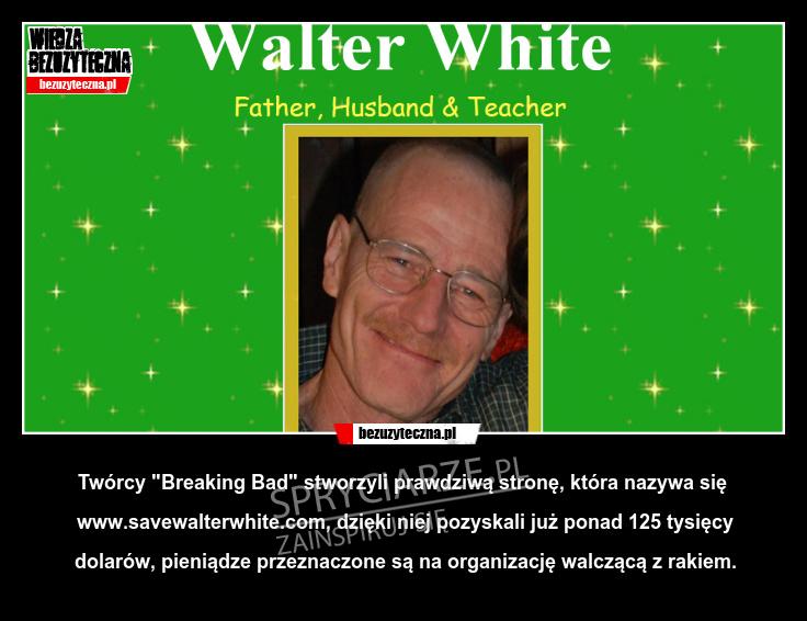 Breaking Bad i strona Waltera