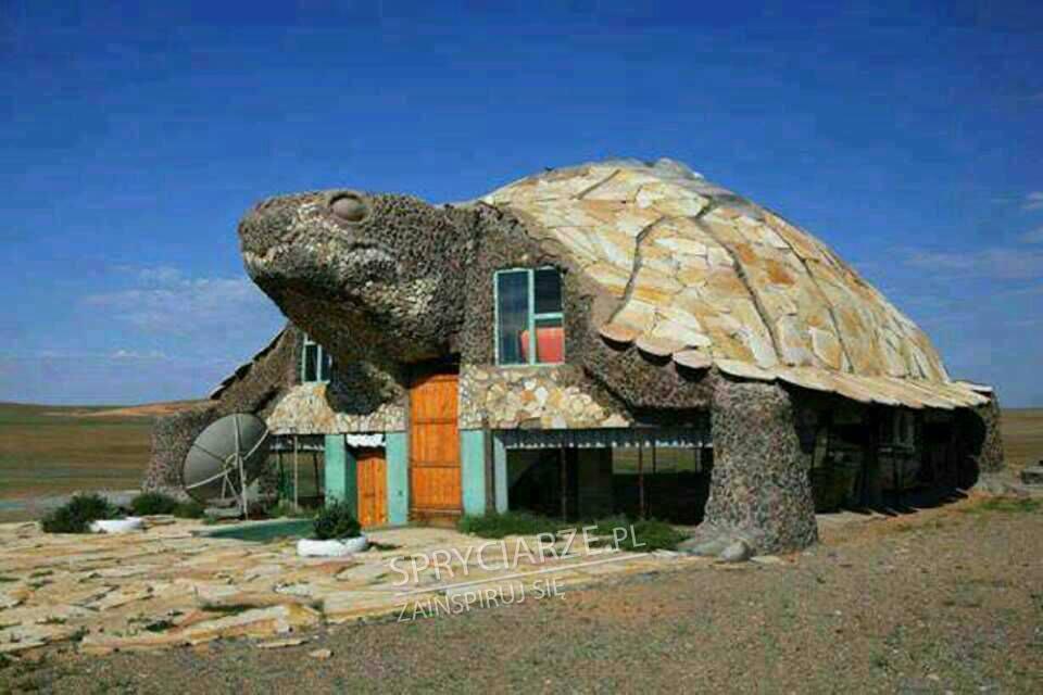Domek w kształcie żółwia