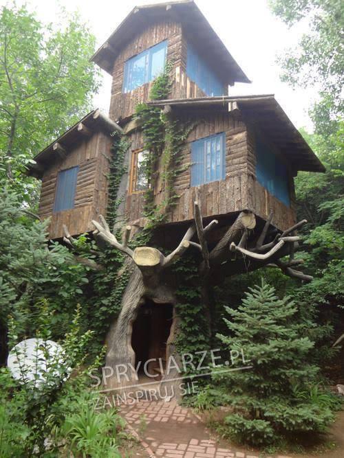 Ktoś spełnił swoje marzenie o domku na drzewie