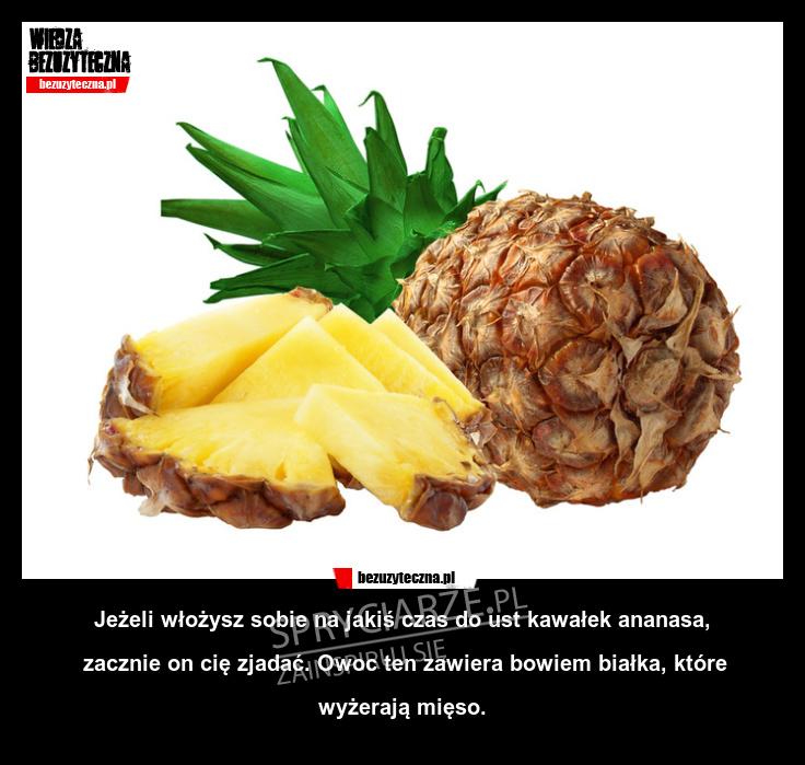 Mięsożerny ananas