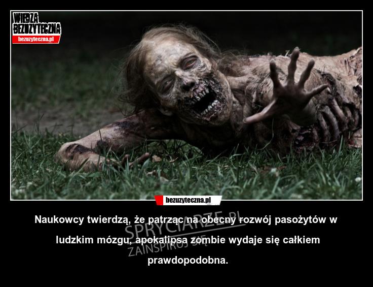 Naukowo odnośnie apokalipsy zombie