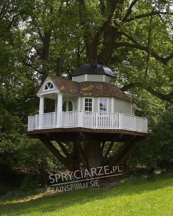 Prawdziwy domek na drzewie
