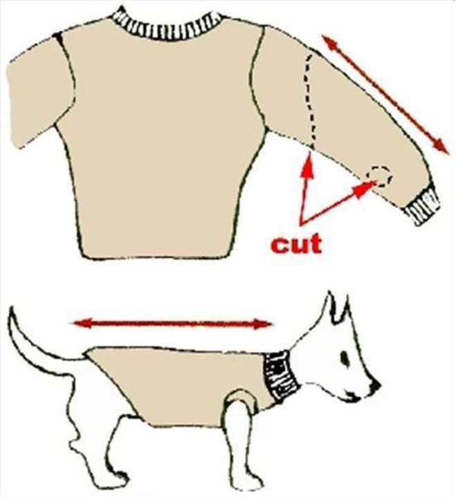 Jak zrobić ubranko dla psa