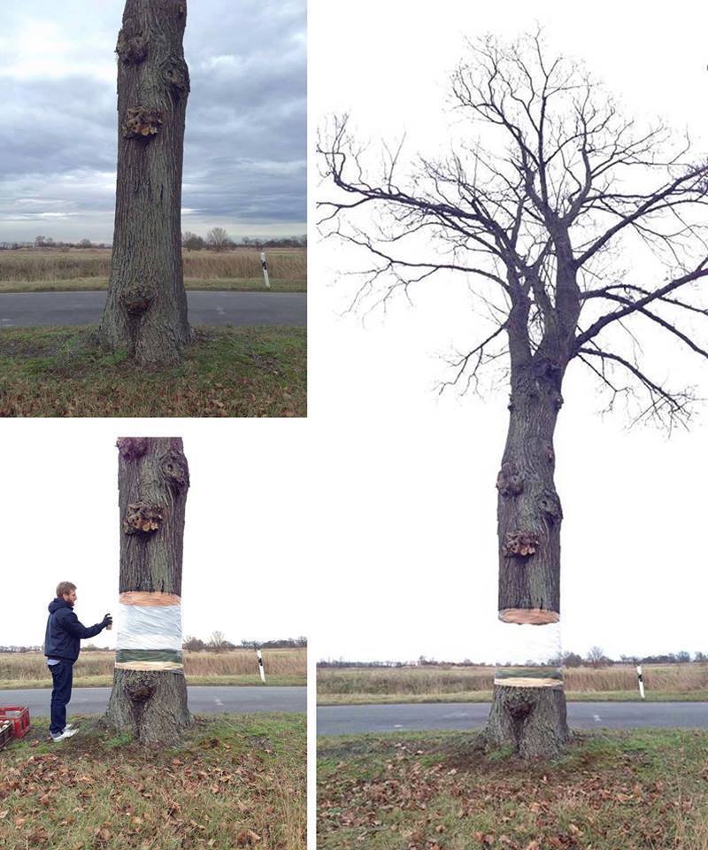 Iluzja z drzewem 