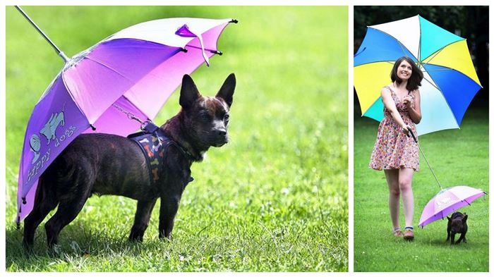 Parasol dla pupila