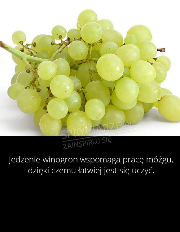 Winogrona nie tylko jako przysmak 