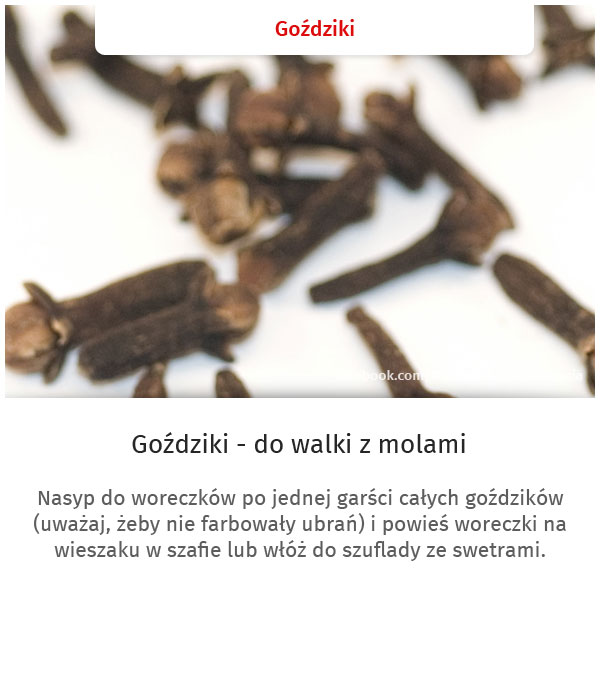 Niezwykłe zastosowanie zwykłych rzeczy - Goździki 