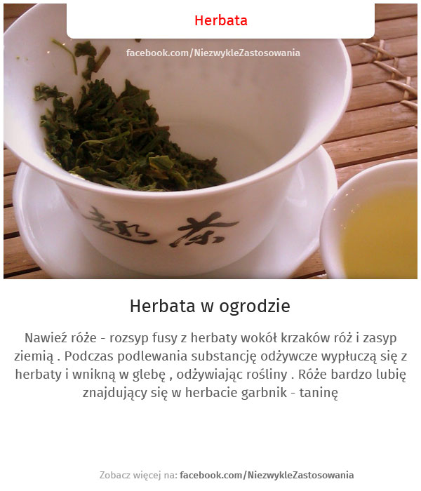 Nietypowe sposoby na użycie Herbaty