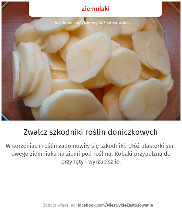 Niezwykłe zastosowania rzeczy: Ziemniaki